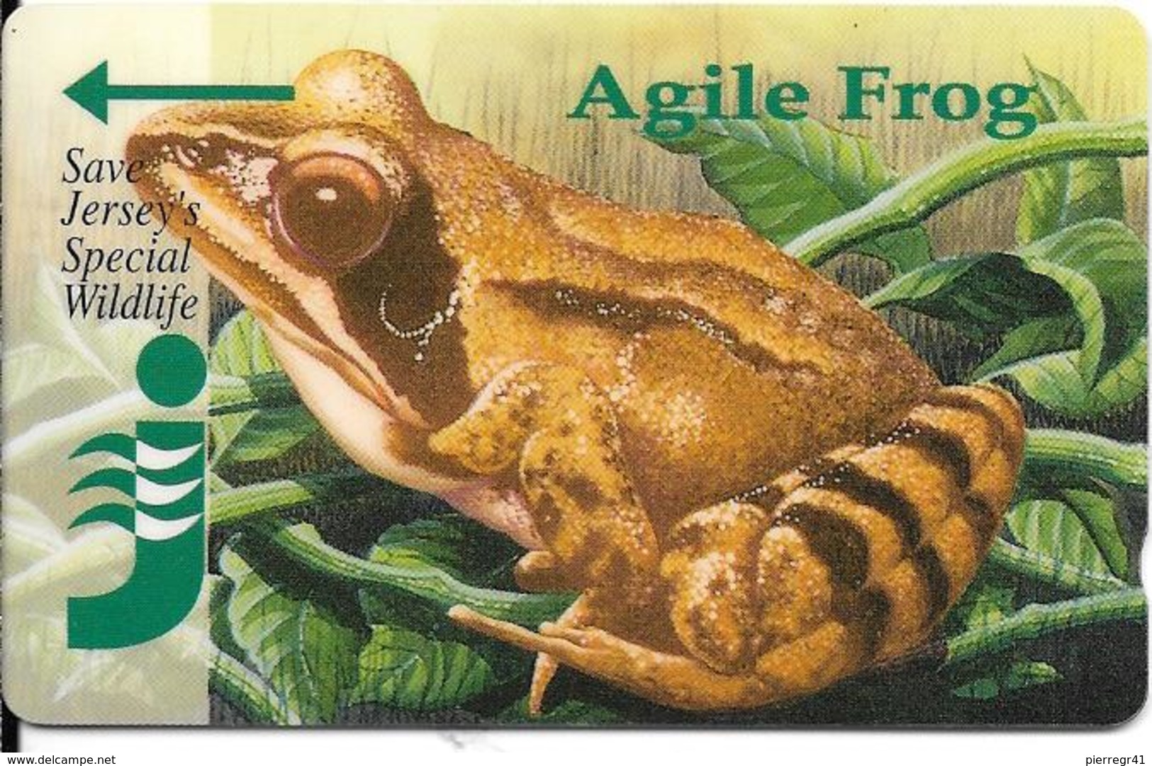 CARTE-MAGNETIQUE-JERSEY-5£-GRENOUILLE RAINETTE-AGILE FROG-TBE- - Poissons