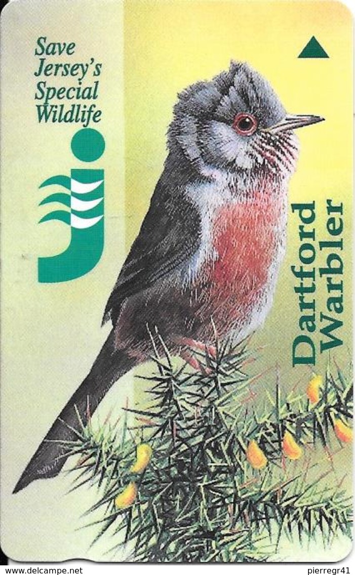 CARTE-MAGNETIQUE-JERSEY-2£-DARTFORD WARBLER-FAUVETTE-TBE- - Sperlingsvögel & Singvögel