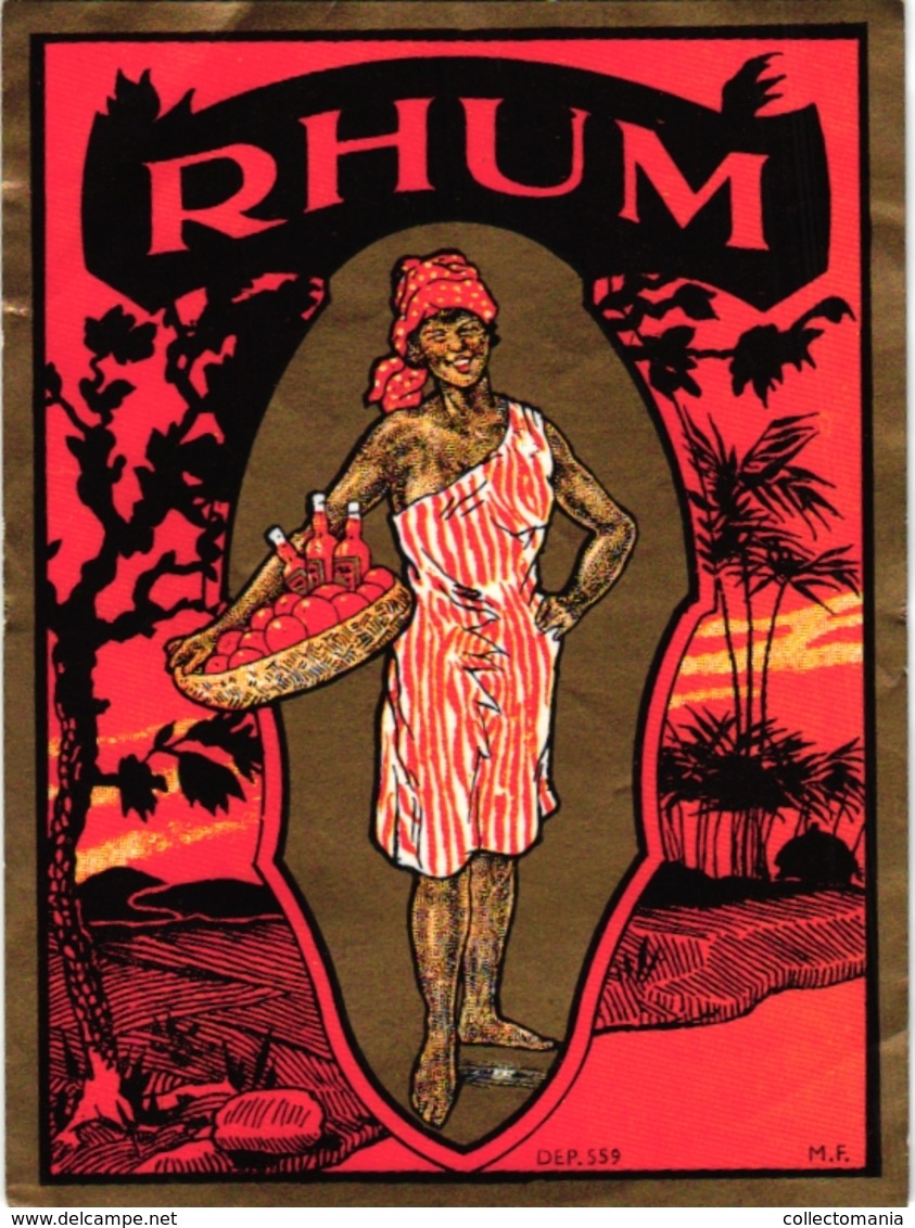5 Etquettes RHUM Gama Jamaïque - Rum