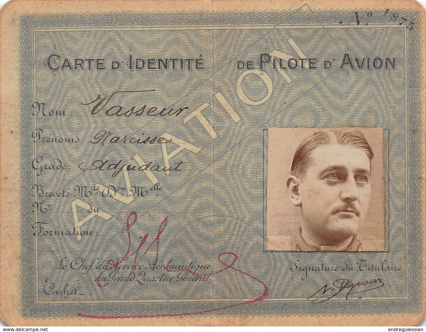 Carte D'identité De Pilote D'Avion - Aviateurs