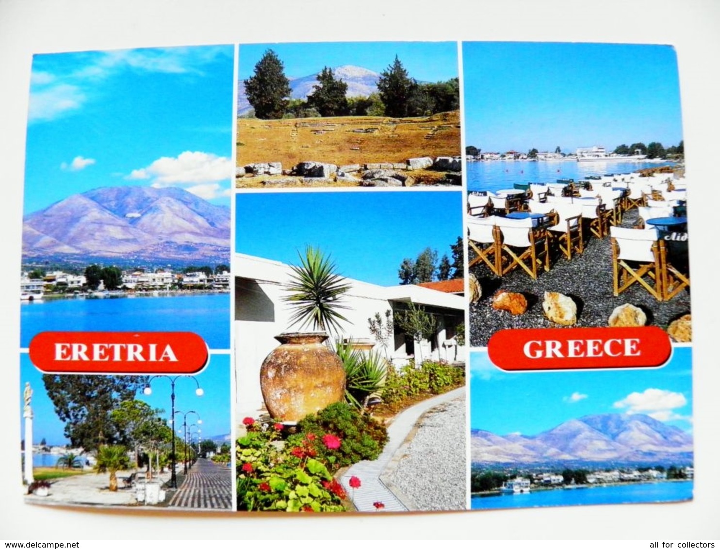 Post Card Carte Greece 2008 Animals Fishes Poissons Eretria - Lettres & Documents