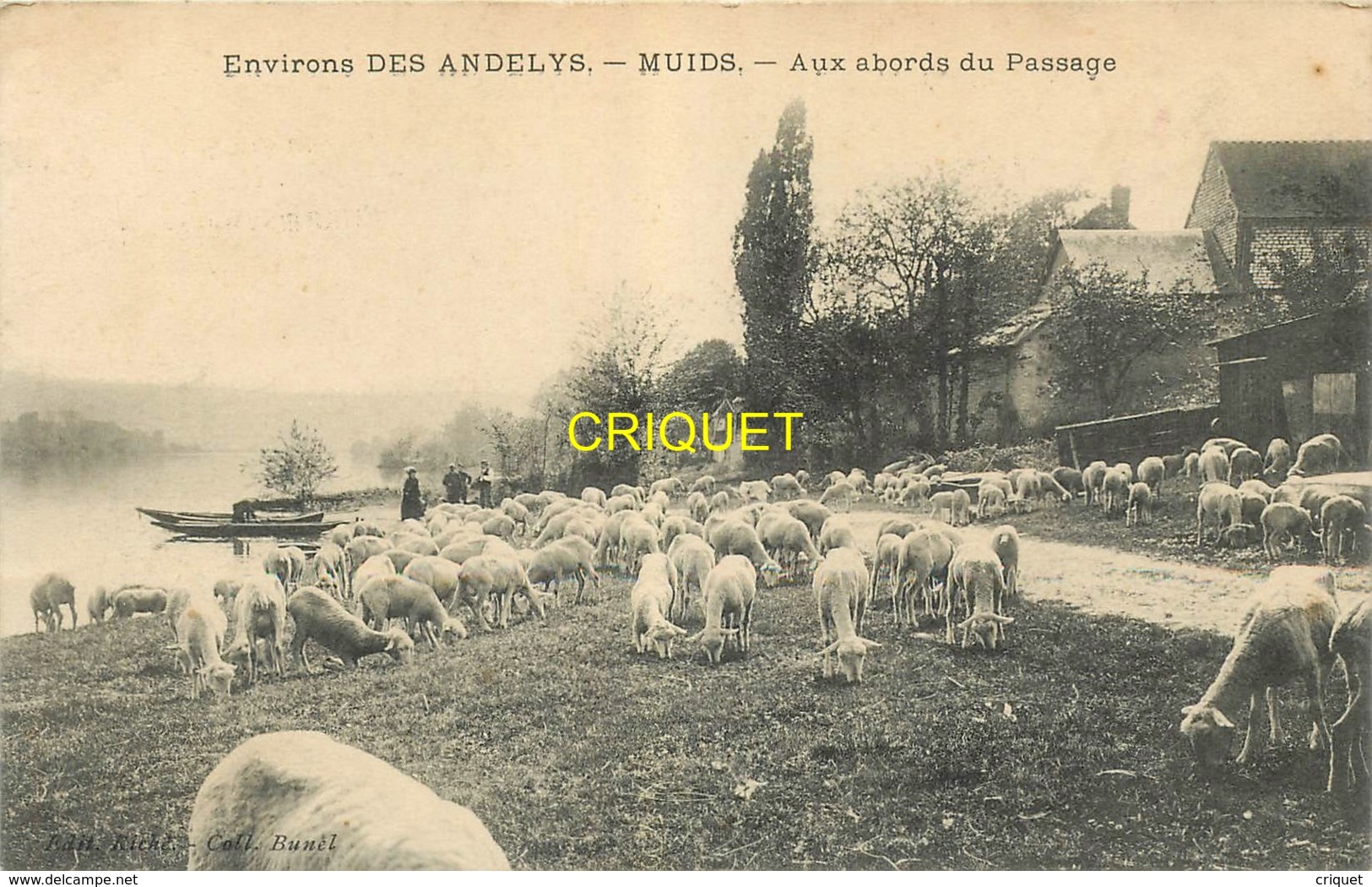 27 Muids, Aux Abords Du Passage, Troupeau De Moutons Au 1er Plan..., Affranchie 1906 - Muids