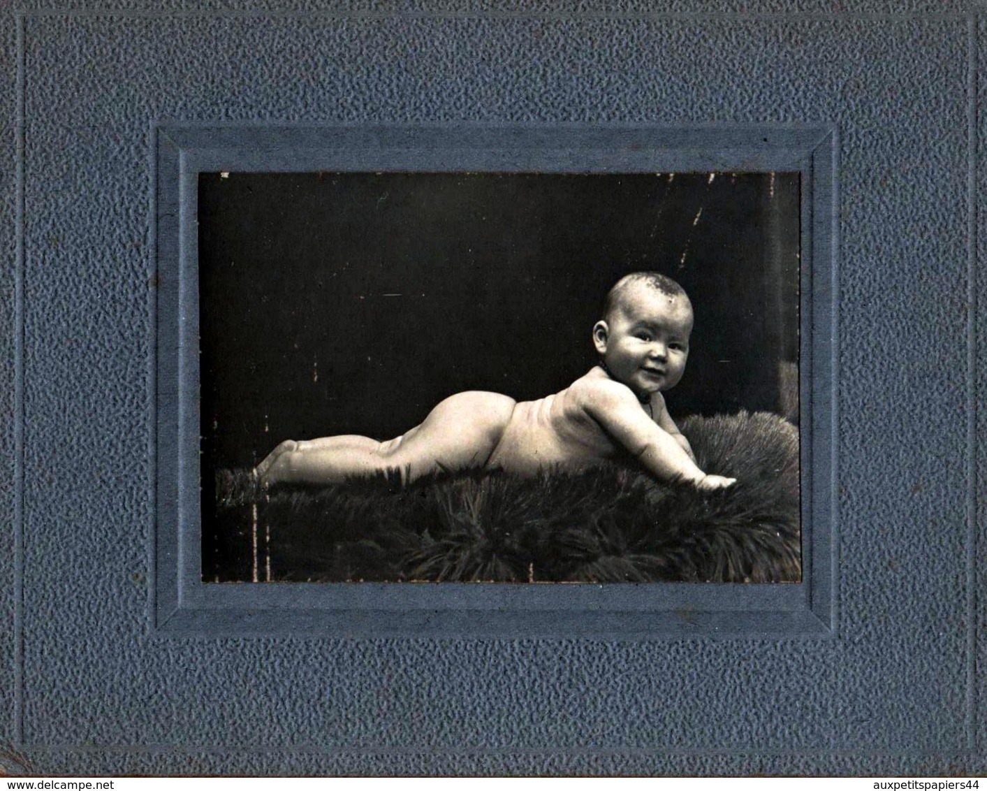 Tirage Photo Albuminé Artistique Original Cartonné Portrait D'un Bébé Cul Nu Sur Peau De Bête - Anciennes (Av. 1900)