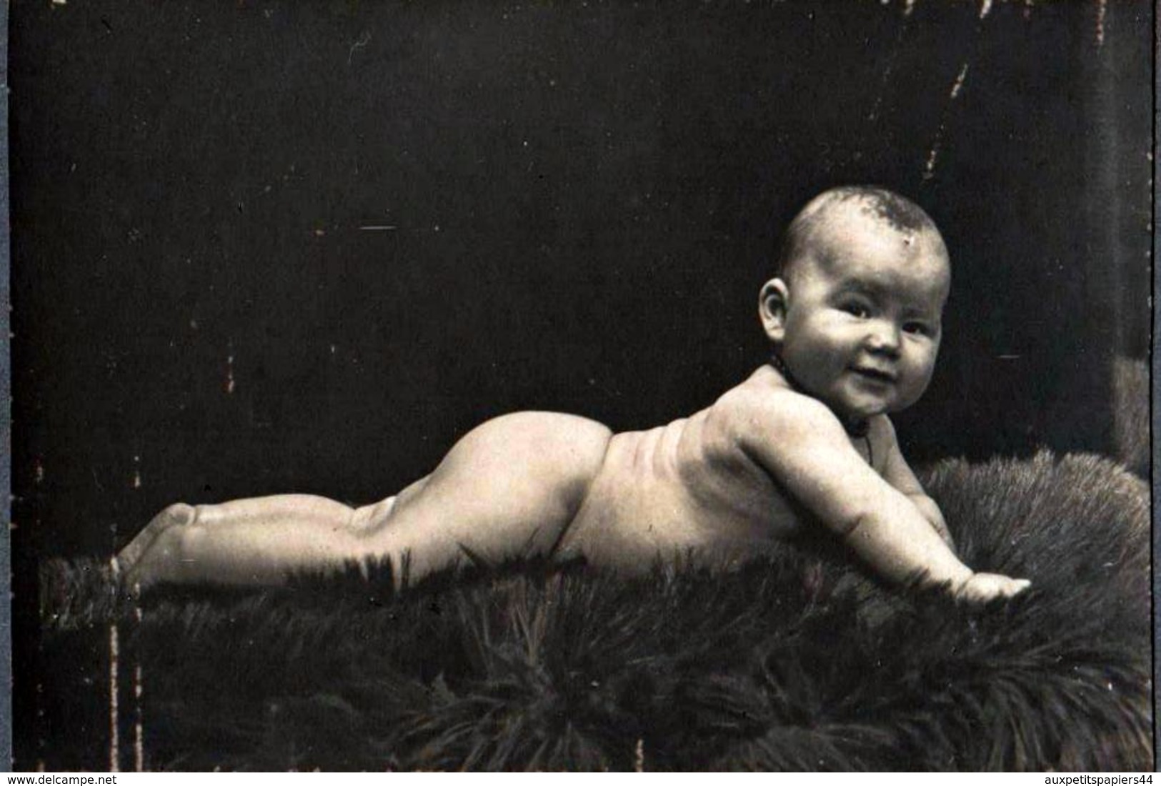 Tirage Photo Albuminé Artistique Original Cartonné Portrait D'un Bébé Cul Nu Sur Peau De Bête - Anciennes (Av. 1900)