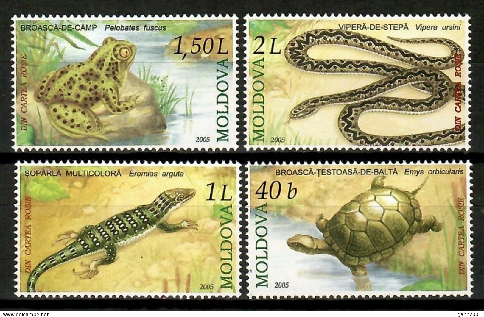 Moldova 2005 Moldavia / Reptiles Turtles Snakes Frog MNH Tortuga Serpiente Rana Schildkröten Tortues / Cu13813  4-19 - Turtles