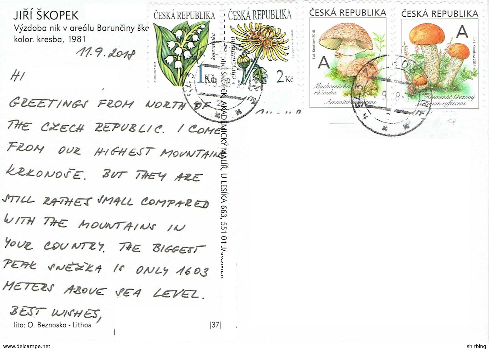 25C : Czech Republic Mushroom And Flower Stamp Used On Violin Music Score Postcard - Lettres & Documents