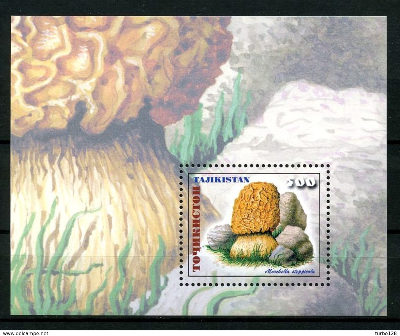 TADJIKISTAN 1999 Bloc N° 21 ** Neuf MNH  Superbe Flore Champignons Morchella Steppicola Musrooms Flora - Tajikistan