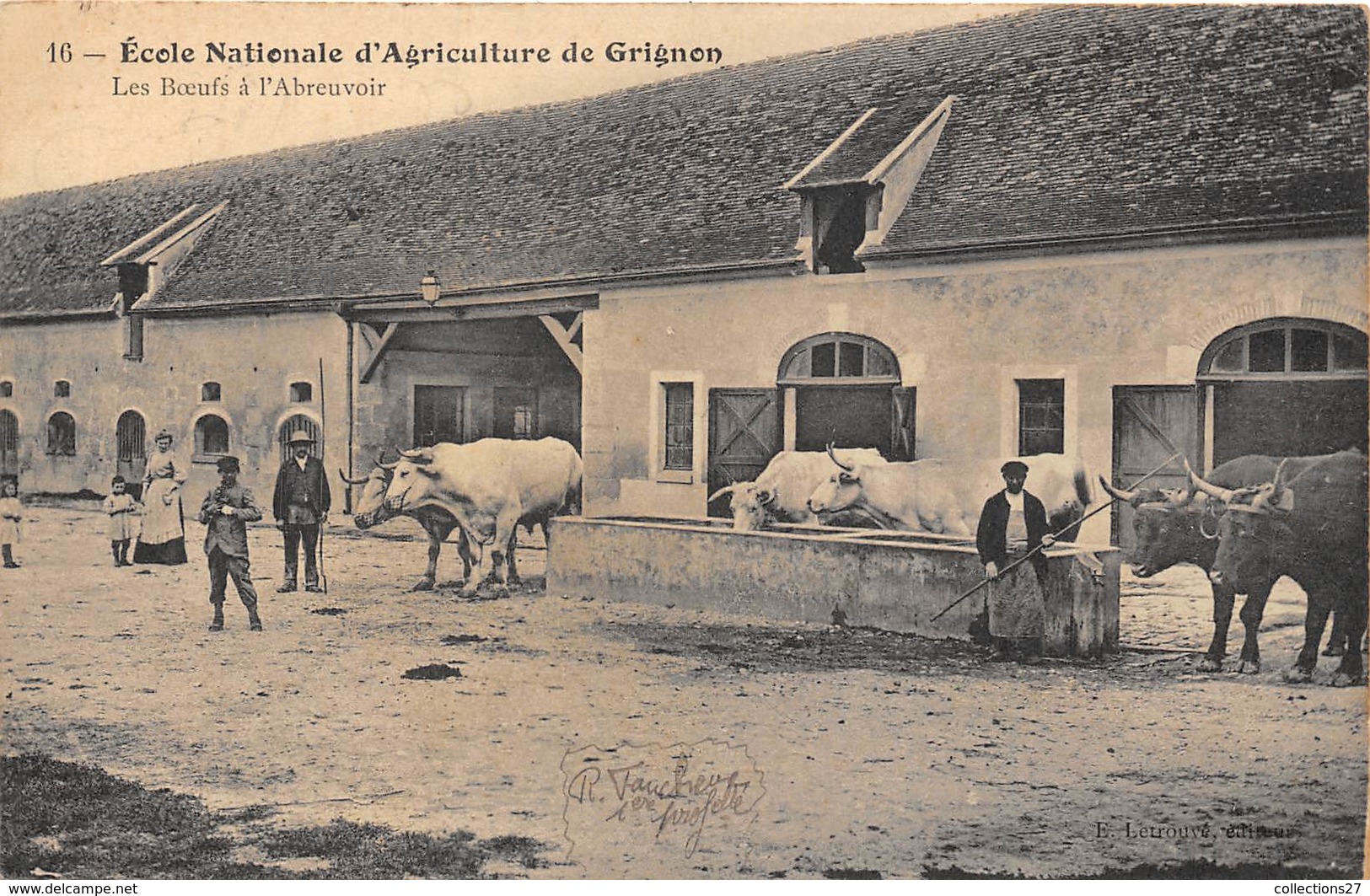 78-GRIGNON- ECOLE D'AGRICULTURE DE GRIGNON, LES BOEUFS A L'ABREUVOIR - Grignon