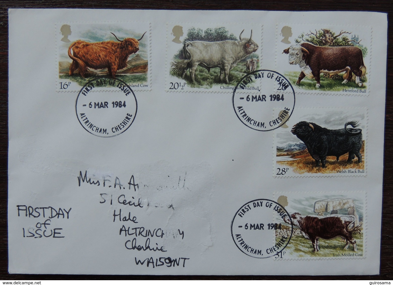 Enveloppe Premier Jour 06/03/1984 : Bétail ; 5 Timbres : Highland Cow / Chllingham Wild Bull / Hereford Bull Etc - Koeien