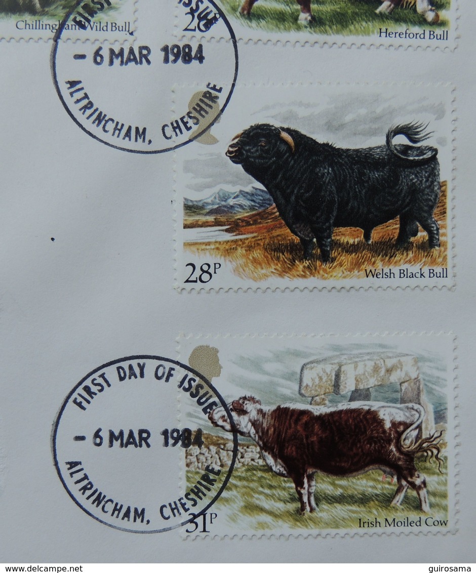 Enveloppe Premier Jour 06/03/1984 : Bétail ; 5 Timbres : Highland Cow / Chllingham Wild Bull / Hereford Bull Etc - Mucche
