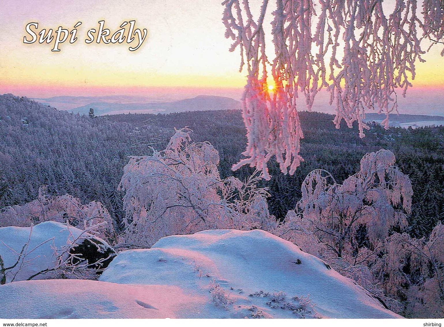 25C : Czech Republic Emblem And Flower Stamp Used On Supi Skaly Winter Postcard - Covers & Documents