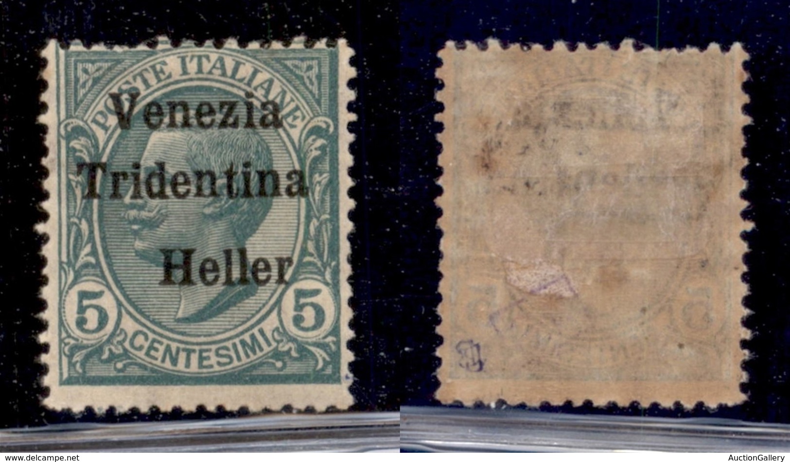 Occupazioni I Guerra Mondiale - Trentino-Alto Adige - 1918 - 5 Heller Su 5 Cent Leoni (28d) - Senza 5 - Gomma Originale  - Other & Unclassified