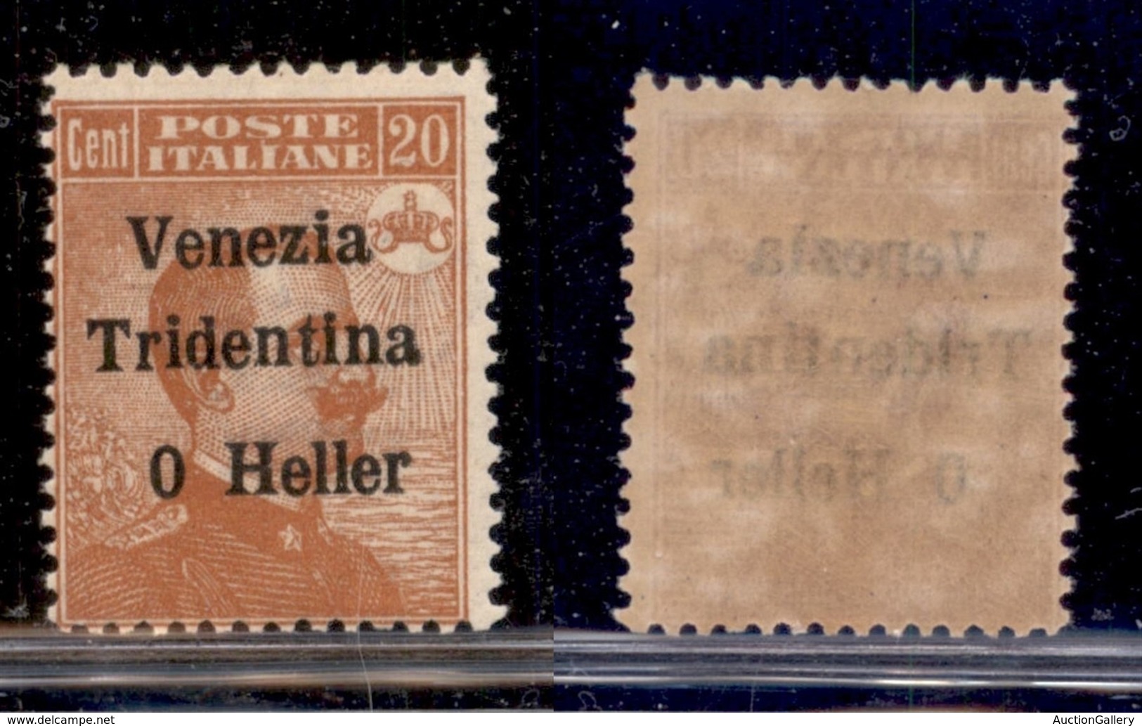 Occupazioni I Guerra Mondiale - Trentino-Alto Adige - 1918 - 20 Heller Su 20 Cent Michetti (30c) - Senza 2 - Gomma Integ - Altri & Non Classificati