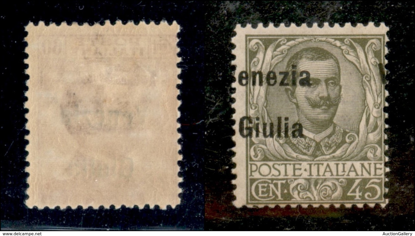 Occupazioni I Guerra Mondiale - Venezia Giulia - 1918 - 45 Cent (26eab) Con V A Destra - Gomma Integra Bruna (300) - Other & Unclassified