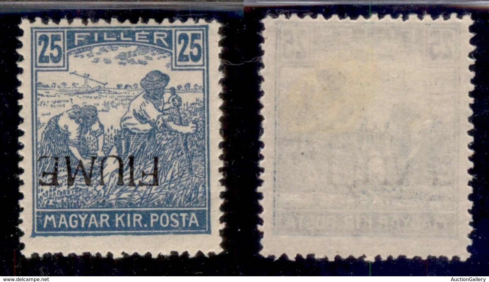 Occupazioni I Guerra Mondiale - Fiume - 1918 - 25 Filler (11ab) Con Soprastampa Capovolta - Gomma Originale (90) - Autres & Non Classés