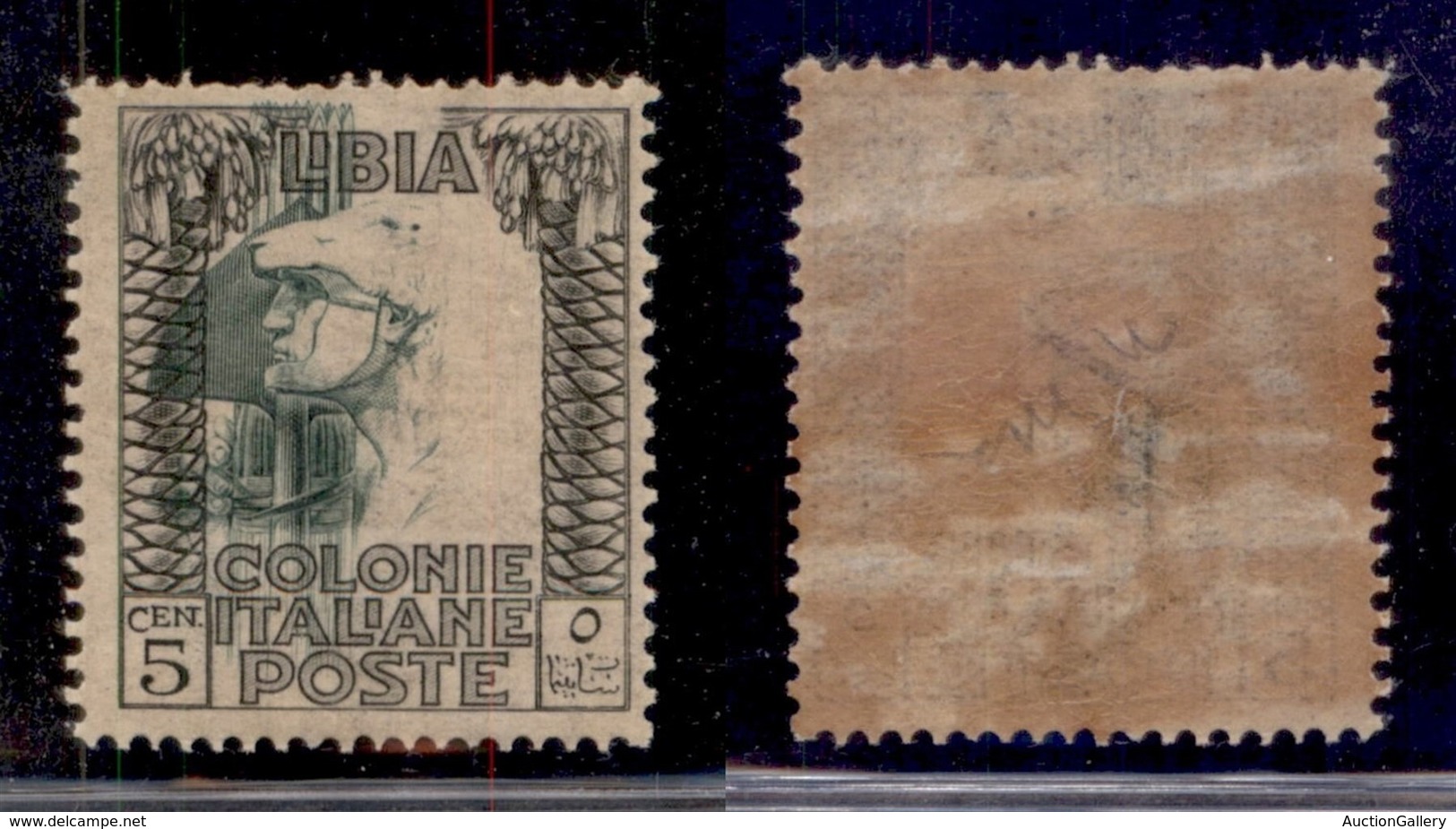 Colonie - Libia - 1921 - 5 Cent Pittorica (23g) Con Centro Spostato A Sinistra - Gomma Integra - Autres & Non Classés