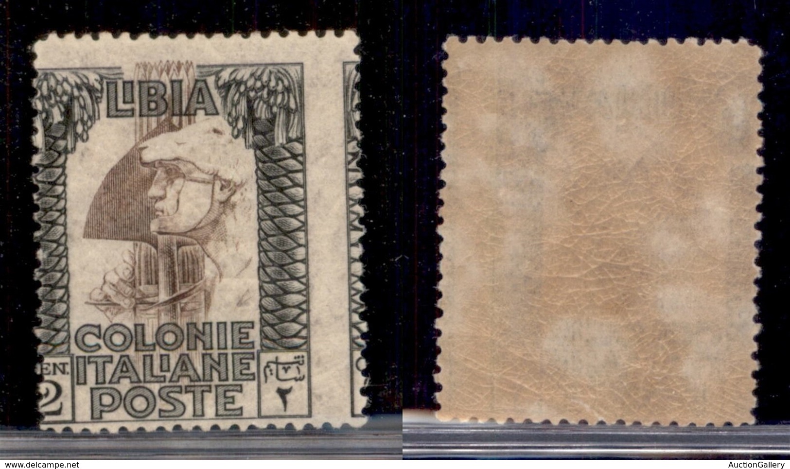 Colonie - Libia - 1924 - 2 Cent Pittorica (45) - Dentellatura Verticale Spostata - Gomma Integra - Autres & Non Classés