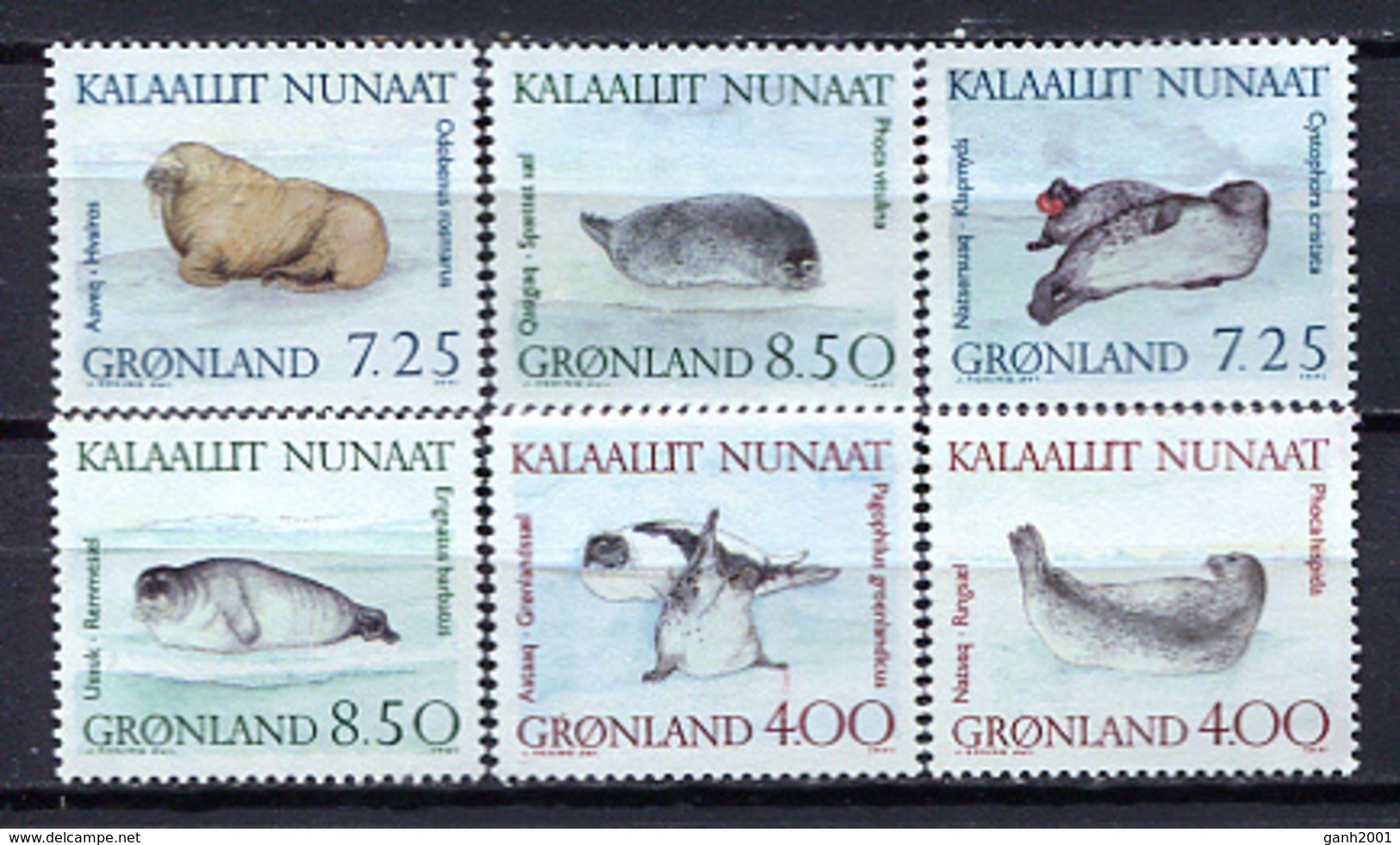 Greenland 1991 Groenlandia / Seals Marine Life Mammals MNH Vida Marina Focas Säugetiere / Cu3031  38-38 - Otros & Sin Clasificación