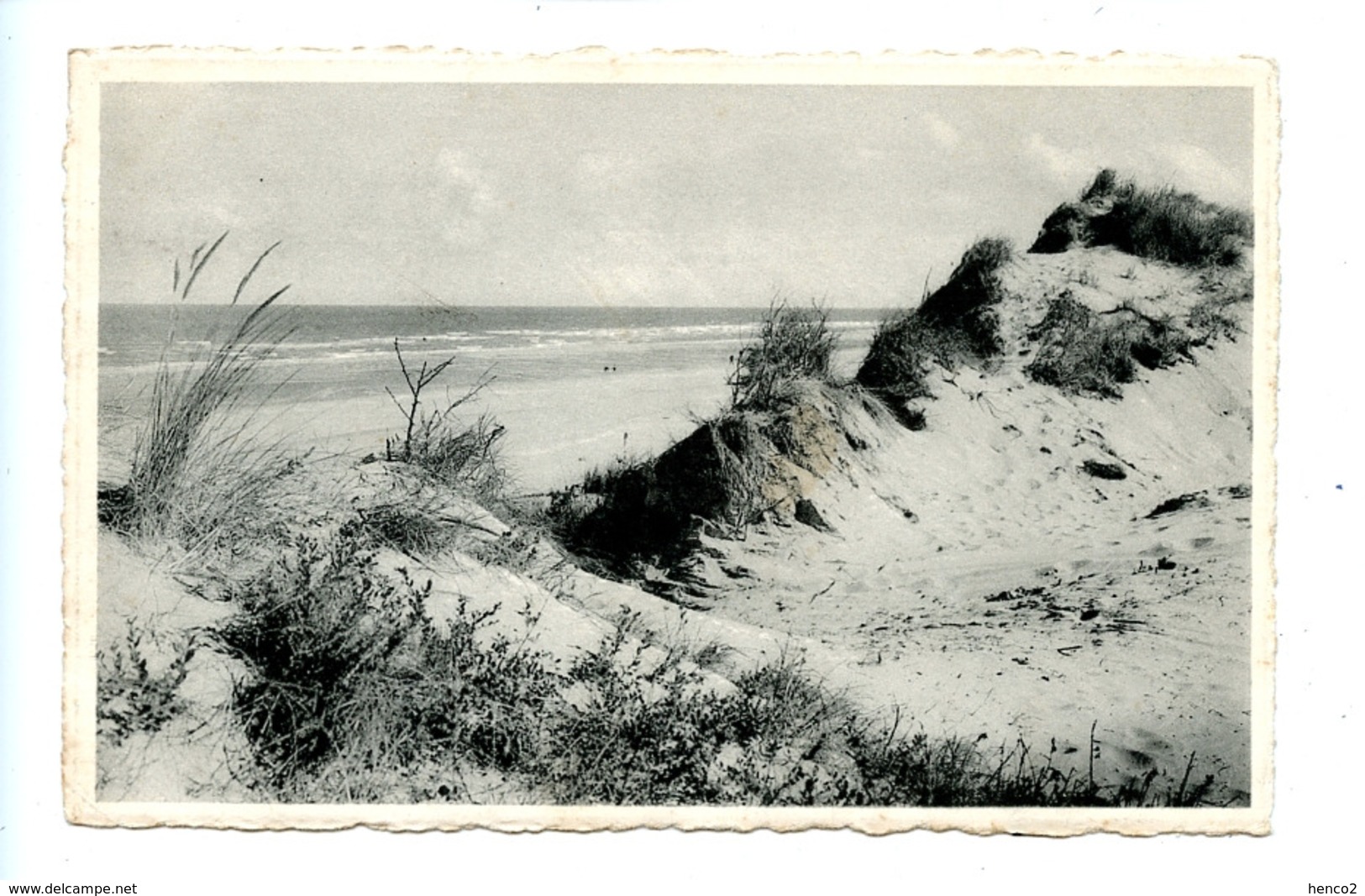 Coq Sur Mer - Den Haan Aan Zee - La Dune, Ourlet De La Mer - De Haan