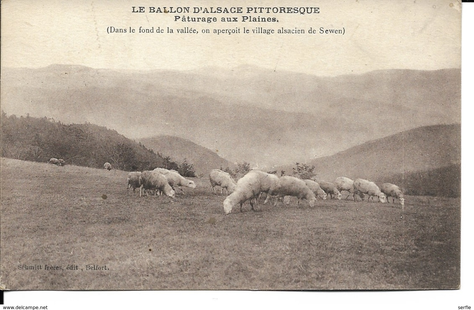 68 - Ballon D'Alsace - Pâturage Aux Plaines - Other & Unclassified