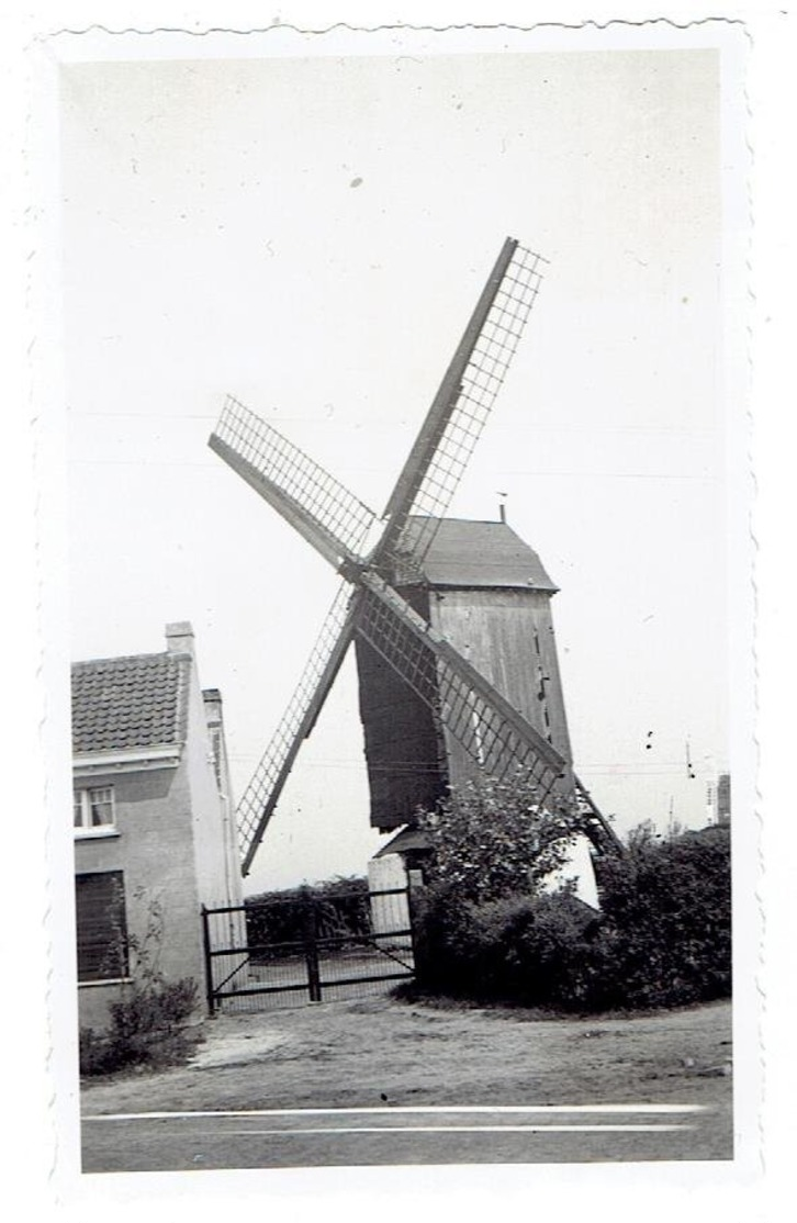 HEYST - Knokke-Heist - Kleine Foto 11 X 6,5 Cm - Thiels Molen - Afgebroken Door Duitse Soldaten In 1944 - Heist