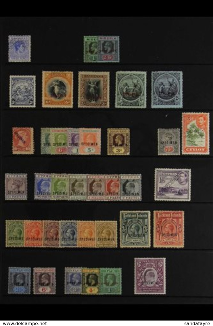 BRIT. COMMONWEALTH SPECIMENS Attractive Collection Off QV To Geo VI Stamps Overprinted Or Perforated "Specimen" With Man - Sonstige & Ohne Zuordnung