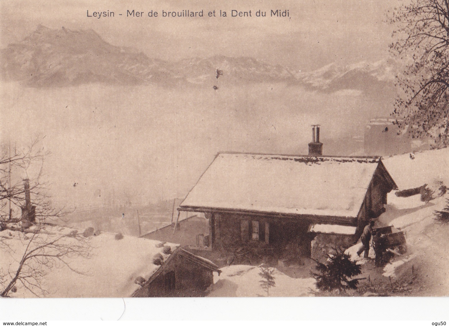 Leysin (Suisse) - Mer De Brouillard Et La Dent Du Midi - Leysin