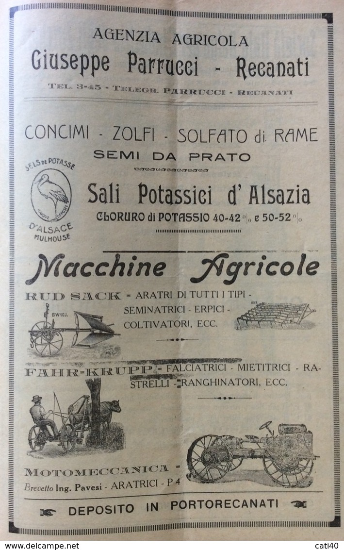 RECANATI 1923 ALMA TERRA con PUBBLICITA' DI JESI MACERATA RECANATI  ASCOLI OSIMO ANCONA PORTOCIVITANOVA  MONTEFANO ,ECC.