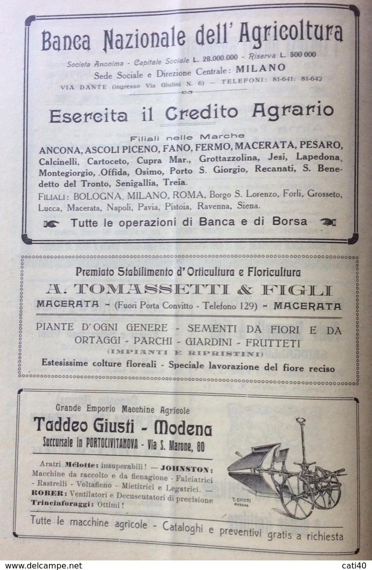 RECANATI 1923 ALMA TERRA con PUBBLICITA' DI JESI MACERATA RECANATI  ASCOLI OSIMO ANCONA PORTOCIVITANOVA  MONTEFANO ,ECC.