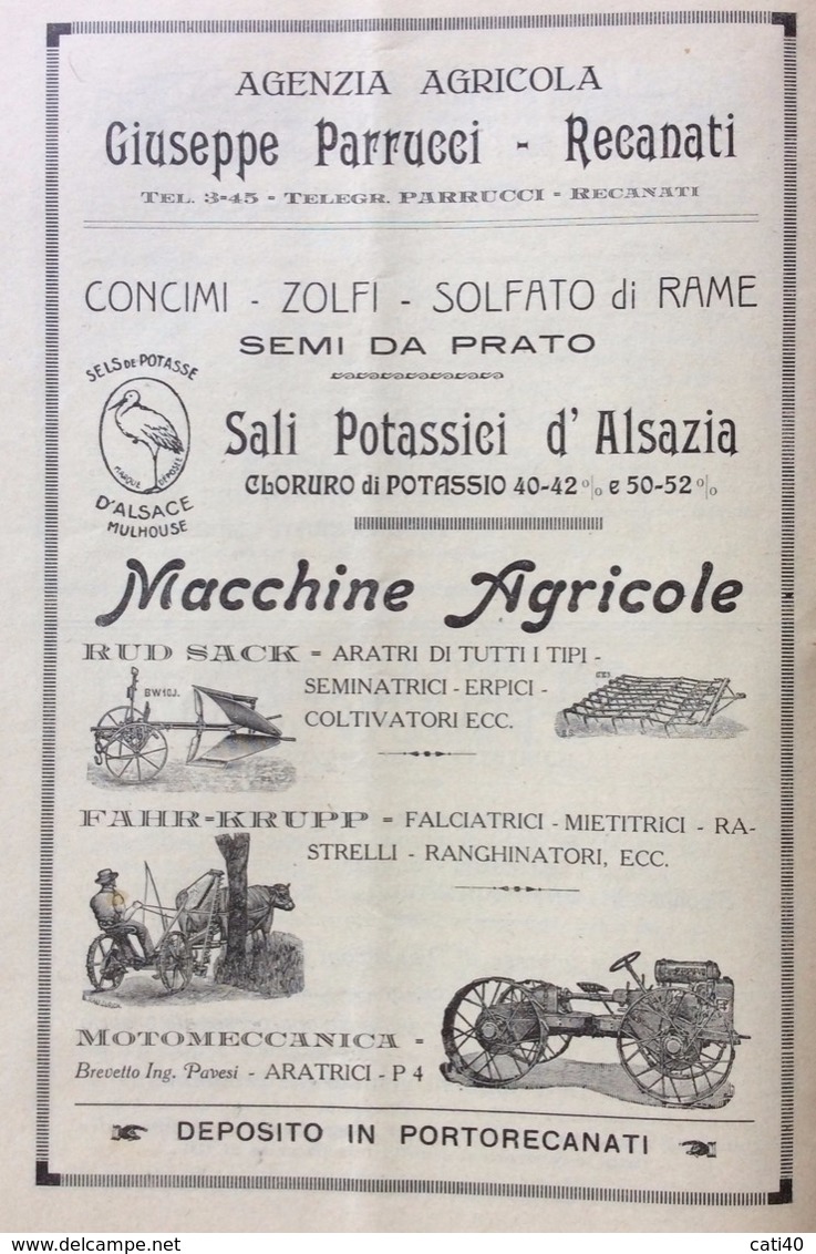 RECANATI 1923 ALMA TERRA con PUBBLICITA' DI JESI MACERATA RECANATI  ASCOLI OSIMO ANCONA PORTOCIVITANOVA  MONTEFANO ,ECC.