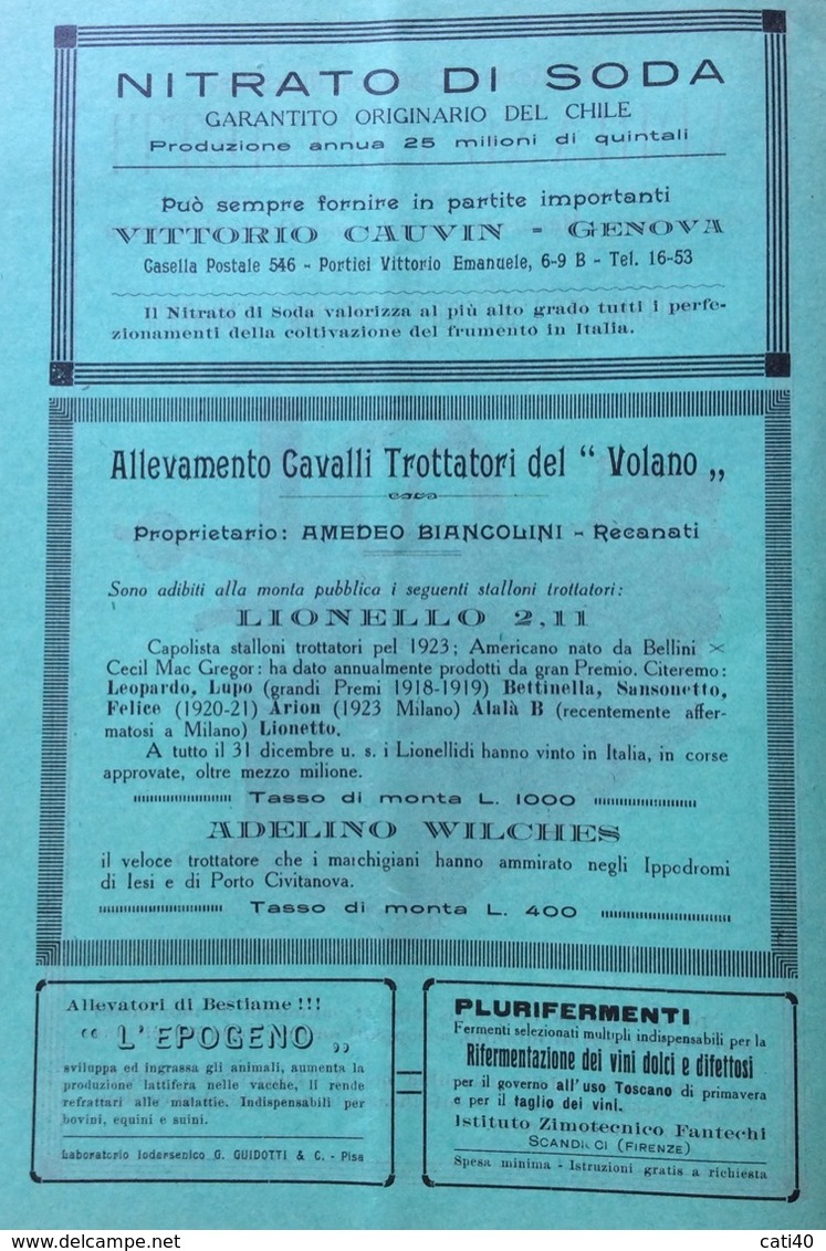 RECANATI 1923 ALMA TERRA con PUBBLICITA' DI JESI MACERATA RECANATI  ASCOLI OSIMO ANCONA PORTOCIVITANOVA  MONTEFANO ,ECC.