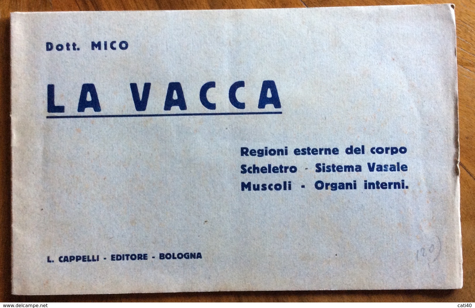 LA VACCA REGIONI ESTERNE DEL CORPO SCHELETRO SISTEMA VASALKE MUSCOLI ORGANI INTERNI  DOTT.MICO ED. CAPPELLI - Bladwijzers