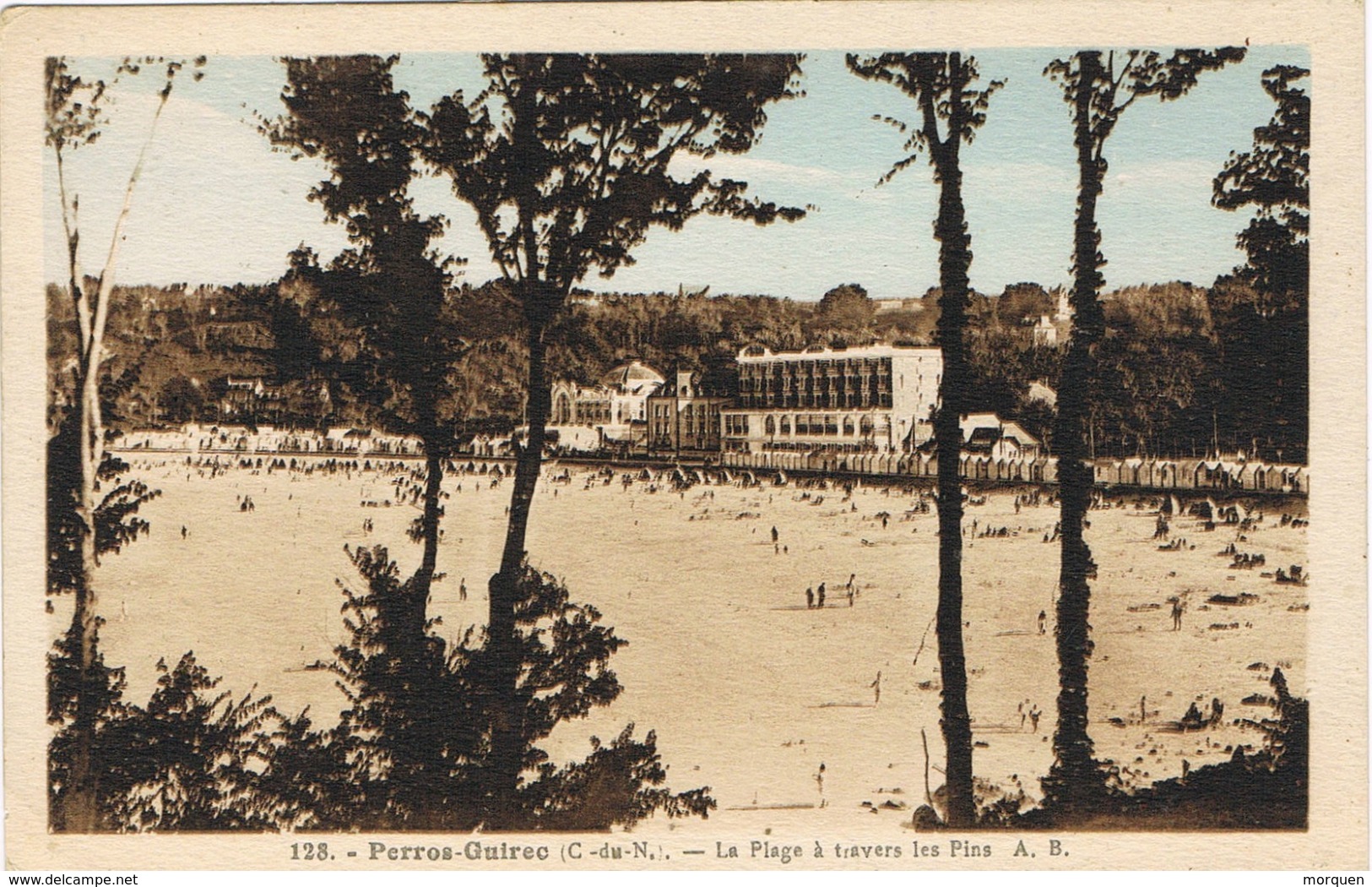 33618. Postal PERROS GUIREC (Cotes D'armor) La Plage Et Les Pins - Perros-Guirec