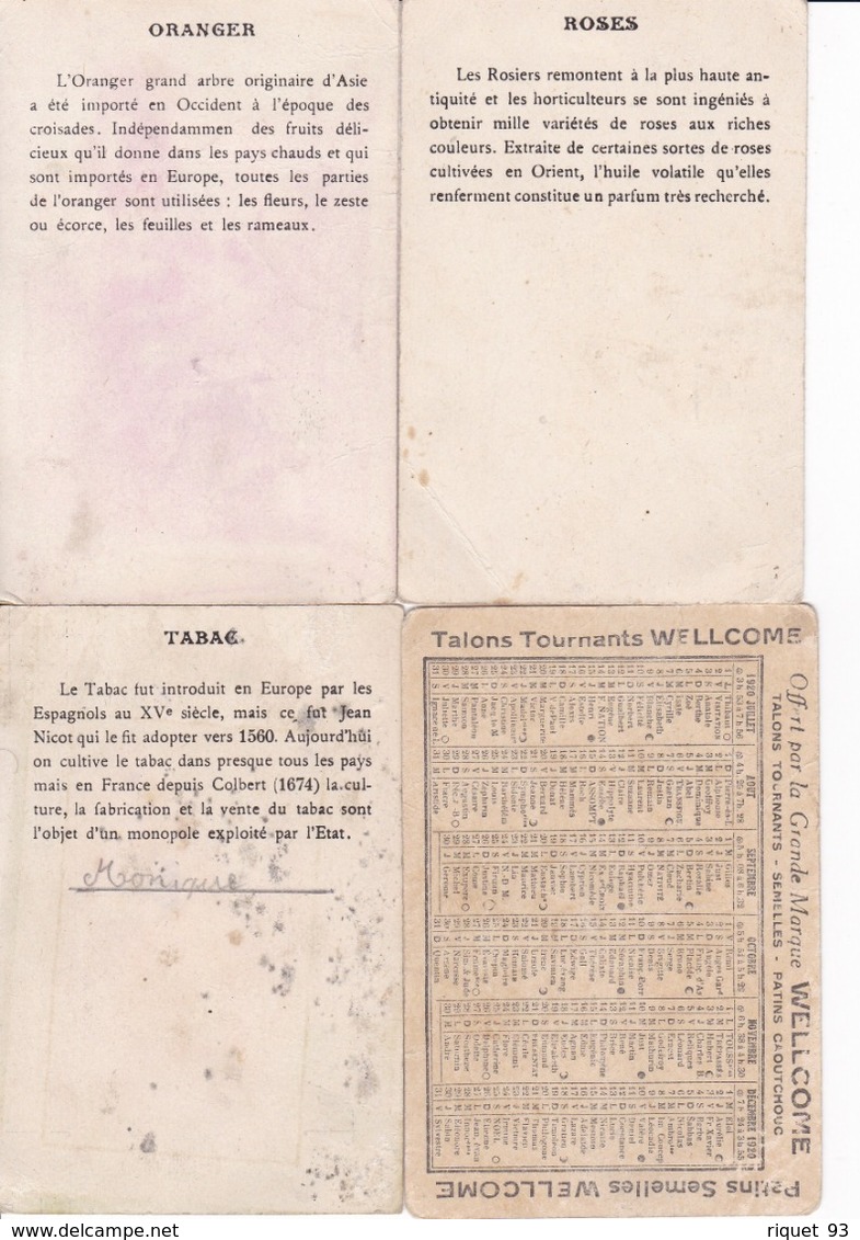 Lot 4 Chromos Pays Et Fleurs (voir Scans) - Other & Unclassified