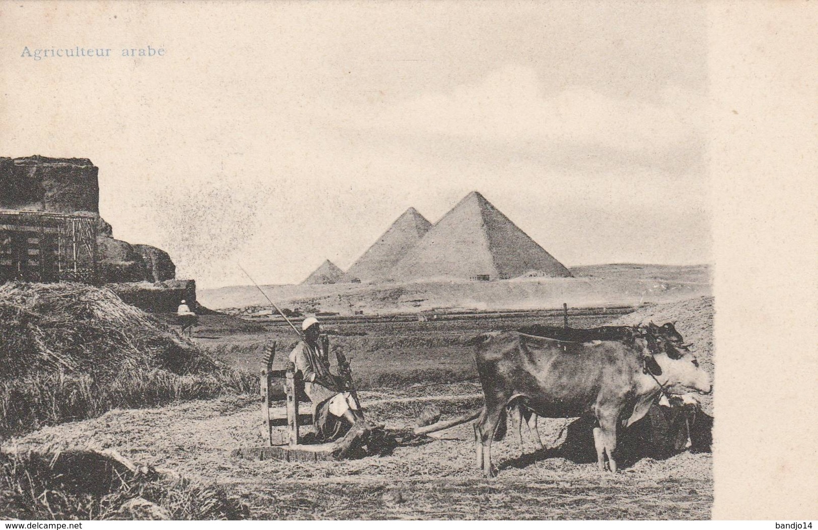 Egypte - Agriculteur Arabe - Scan Recto-verso - Sonstige & Ohne Zuordnung