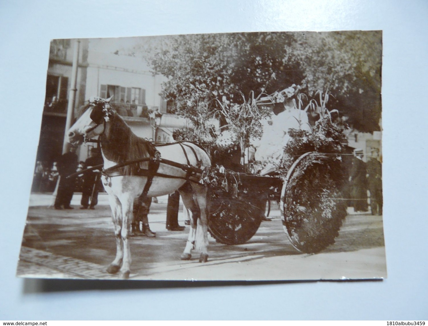 PHOTOGRAPHIE ANCIENNE - TUNIS : Fête Du Printemps Juin 1902 - Deuxième Prix - Anonyme Personen