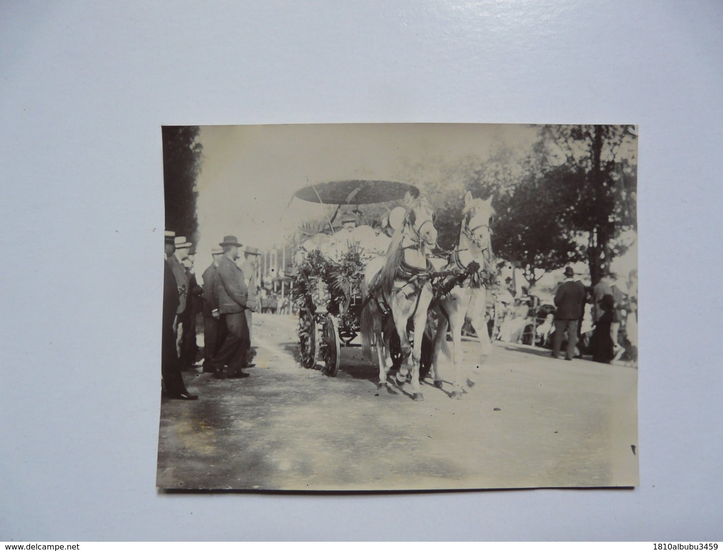 PHOTOGRAPHIE ANCIENNE - TUNIS : Fête Du Printemps Juin 1902 - Premier Prix - Anonyme Personen