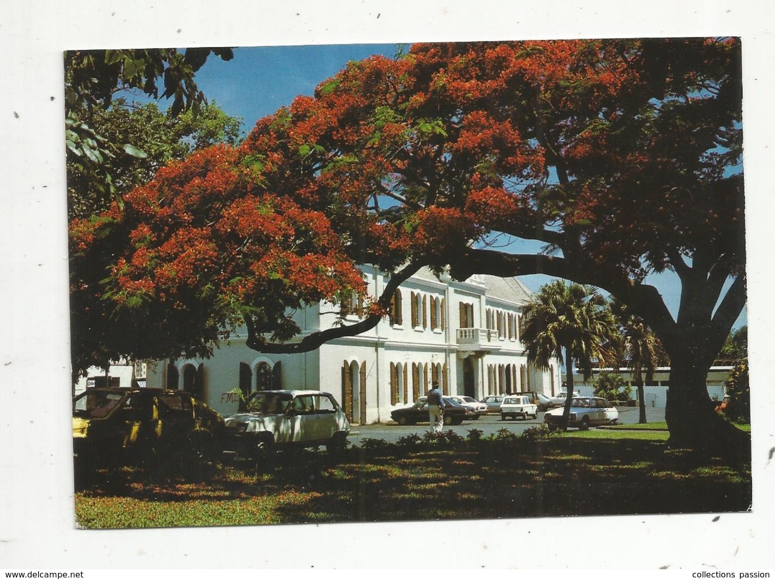 Cp , ILE DE LA REUNION , SAINT PIERRE ,  Hôtel De Ville ,  écrite - Saint Pierre