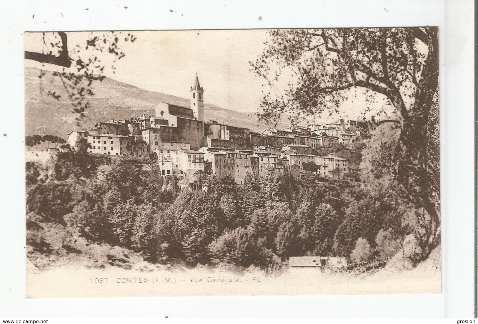 CONTES (A M) 1067 VUE GENERALE PANORAMIQUE AVEC EGLISE - Contes