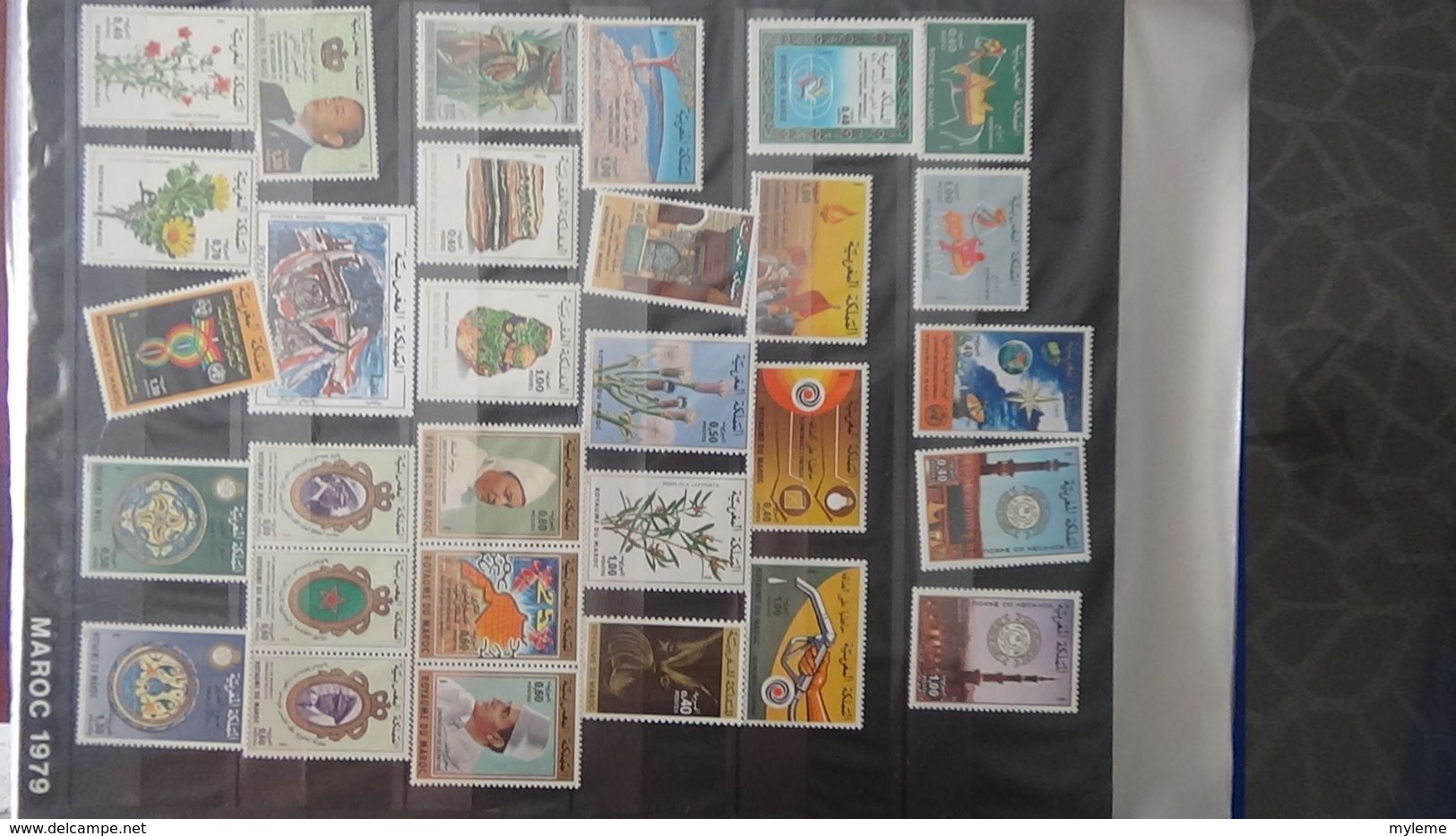 Classeur De Timbres ** D'Algérie, Maroc, Tunise Et Vanuatu à Saisir !!! - Collections (en Albums)