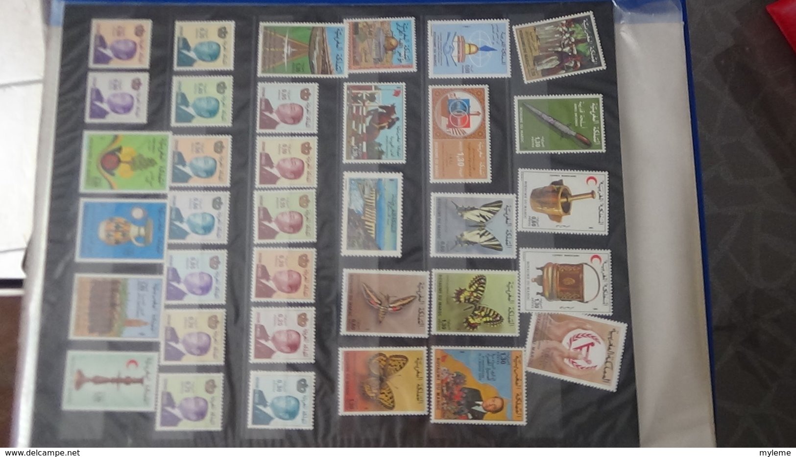 Classeur De Timbres ** D'Algérie, Maroc, Tunise Et Vanuatu à Saisir !!! - Collections (with Albums)