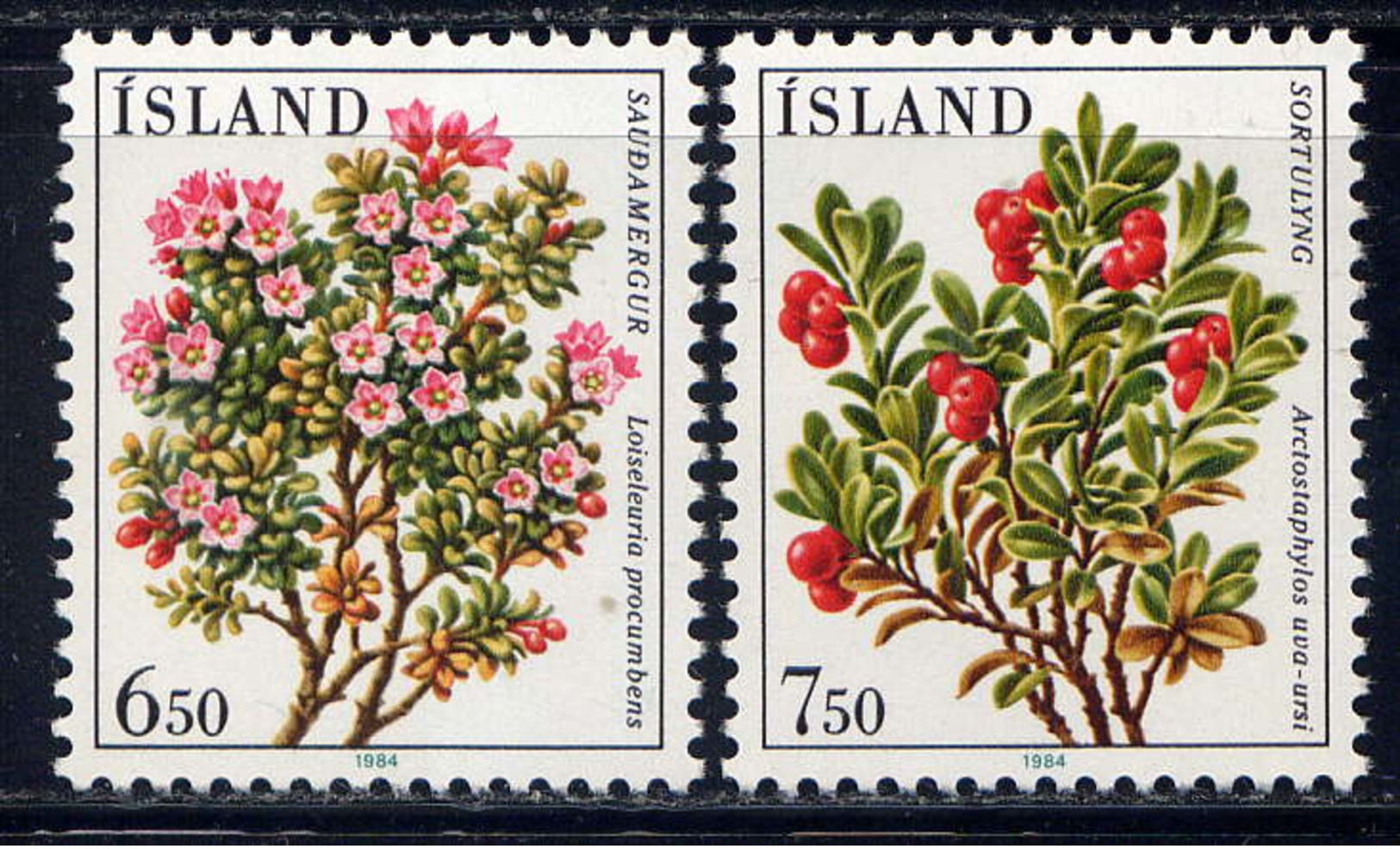 ISLANDE - 572/573** - FLEURS - Ungebraucht