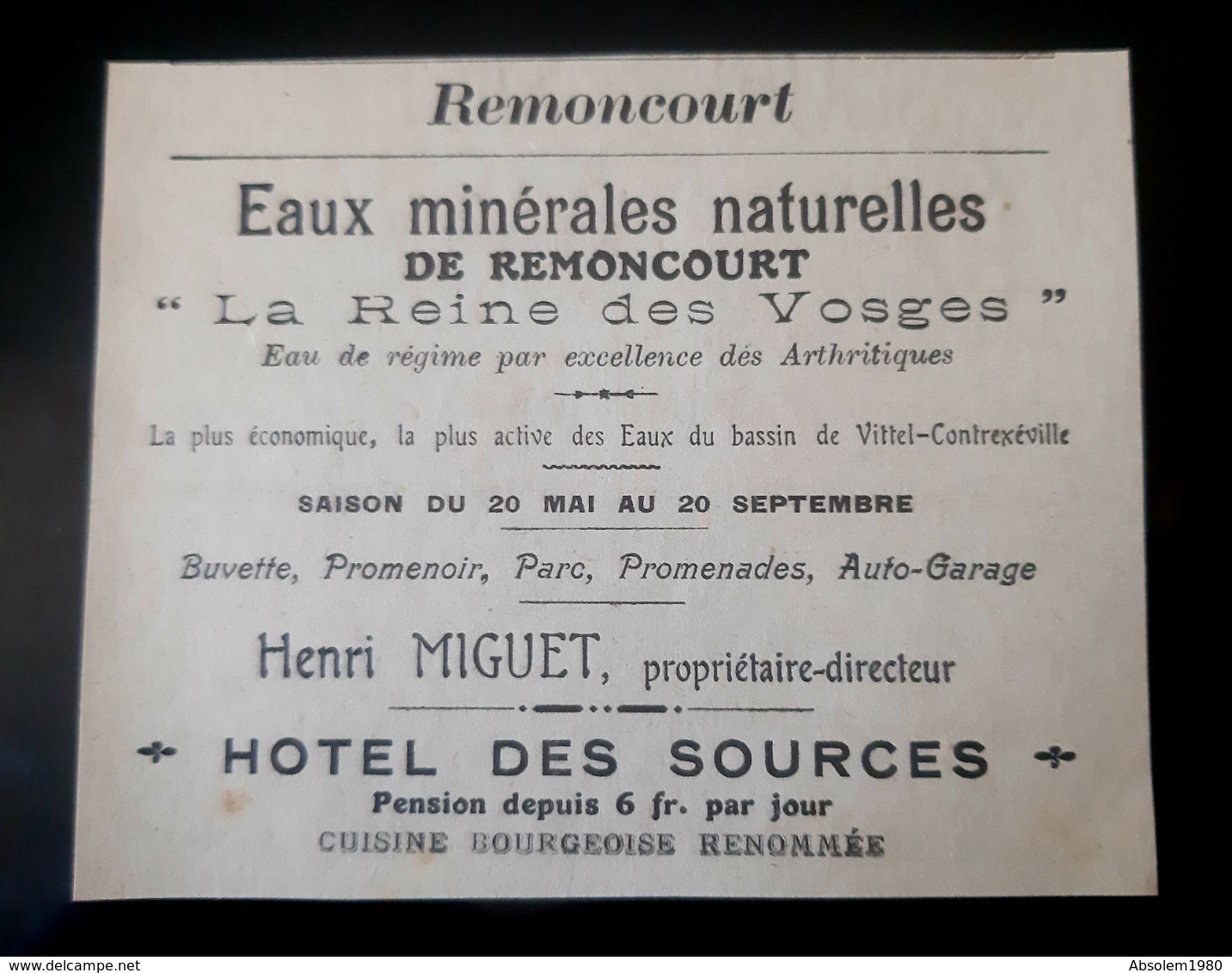 REMONCOURT 88 HOTEL DES SOURCES HENRI MIGUET EAUX MINERALES REINE DES VOSGES PUBLICITE 1900 BUVETTE PROMENOIR AUTO EAU - Werbung