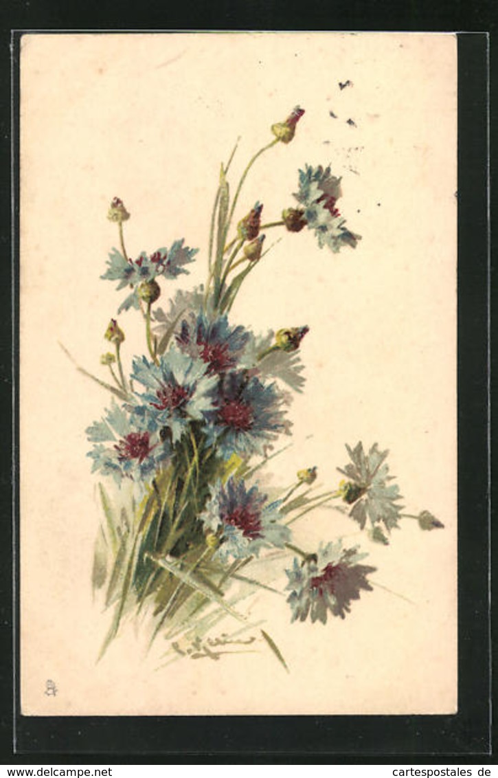 Künstler-AK Catharina Klein: Blaue Kornblumen Und Knospen - Klein, Catharina