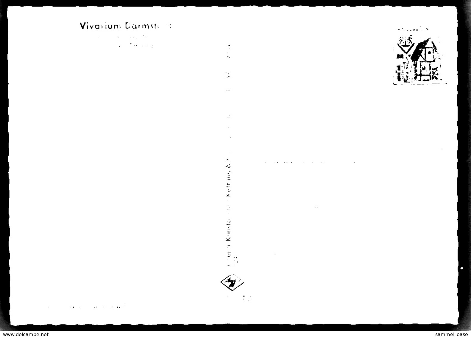 Fennek / Wüstenfuchs Aus Der Sahara  -  Vivarium Darmstadt  -  Ansichtskarte Ca.1965    (11616) - Sonstige & Ohne Zuordnung