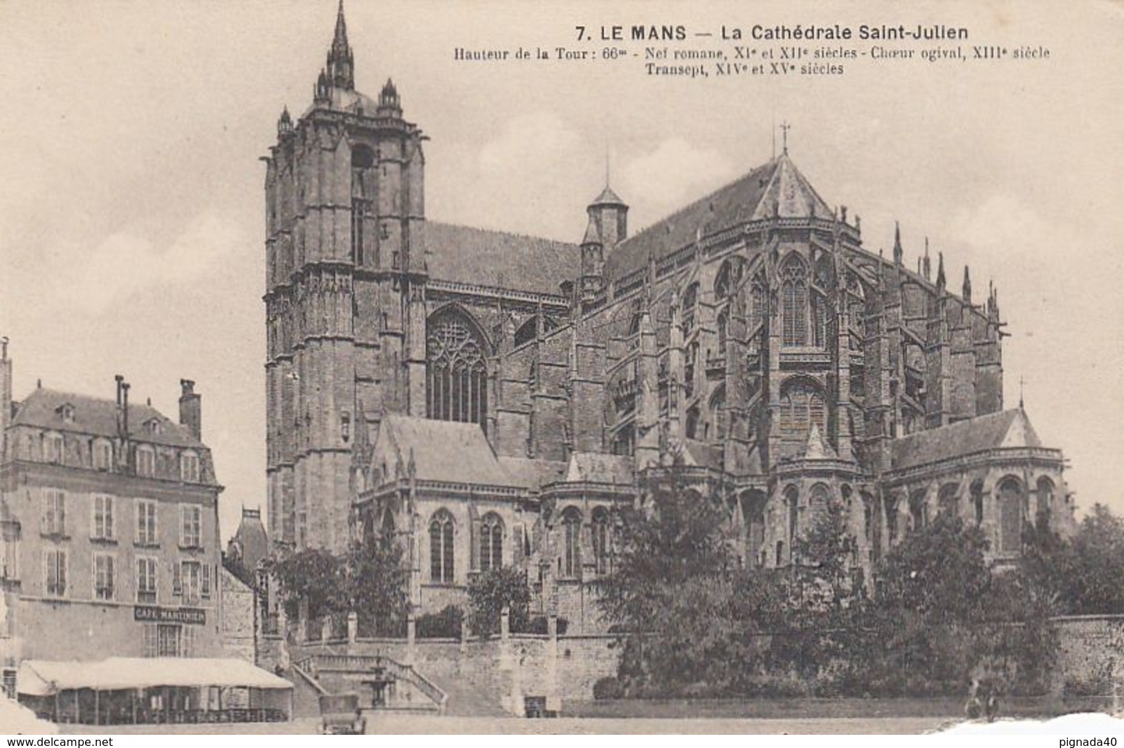 Cp , 72 , LE MANS , La Cathédrale Saint-Julien - Le Mans