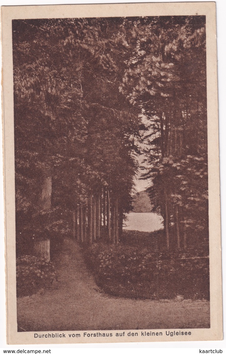 Durchblick Vom Forsthaus Auf Den Kleinen Ugleisee - Eutin