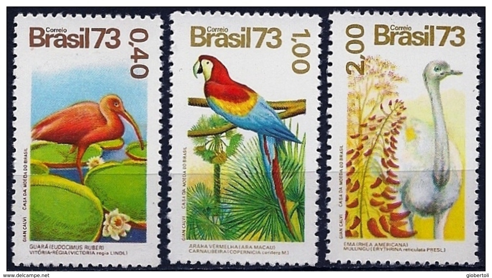 Brasile/Brésil/Brazil: Uccelli Diversi, Different Birds, Différentes Oiseaux - Altri & Non Classificati