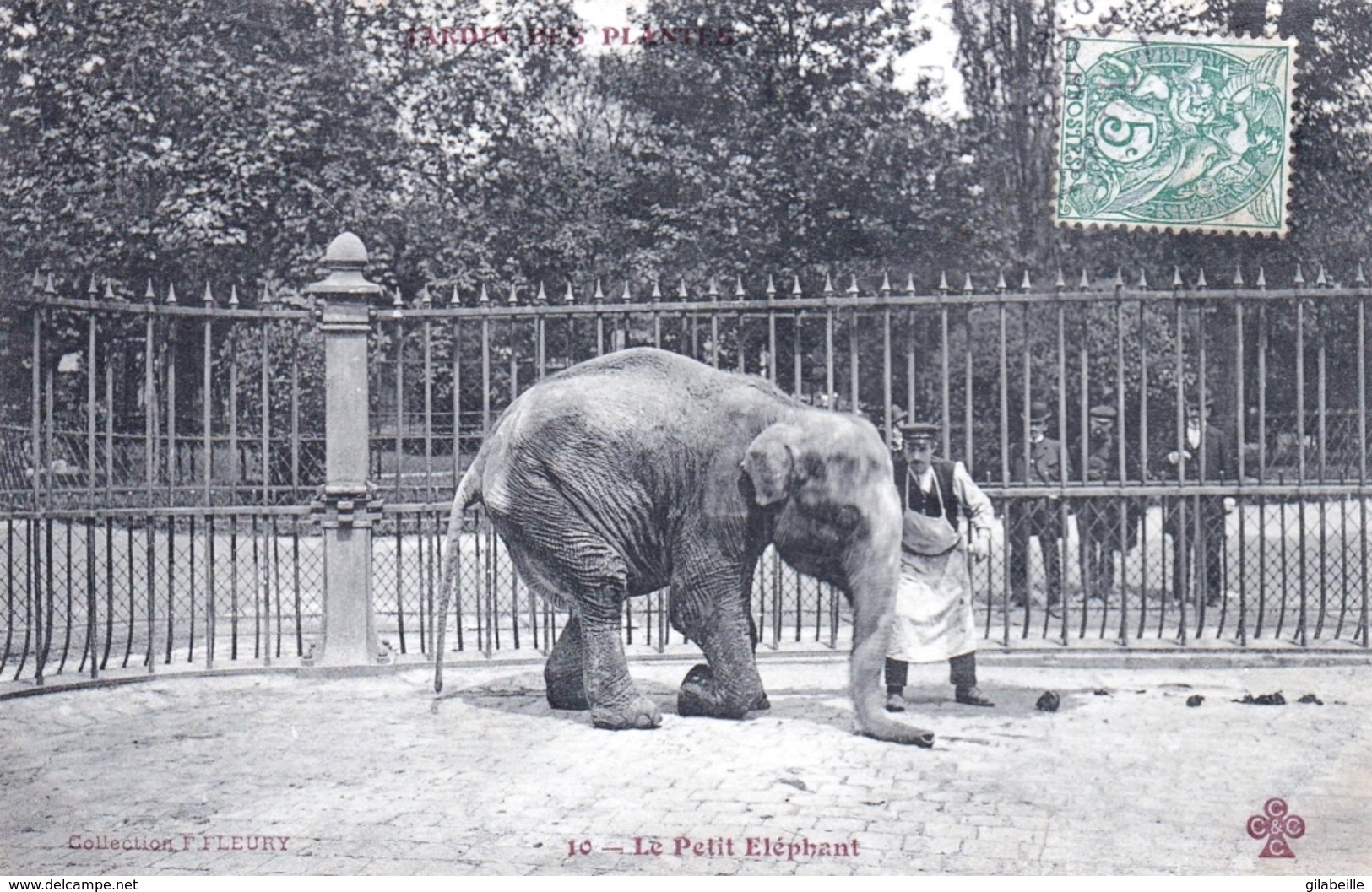 75 - PARIS 05 - Jardin Des Plantes - Le Petit Elephant - Arrondissement: 05