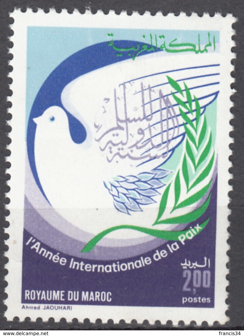 N° 1011 Du Maroc - X X - ( E 1229 ) - Pigeons & Columbiformes